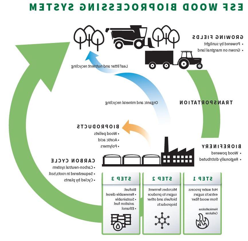 E S F wood bioprocessing system chart 