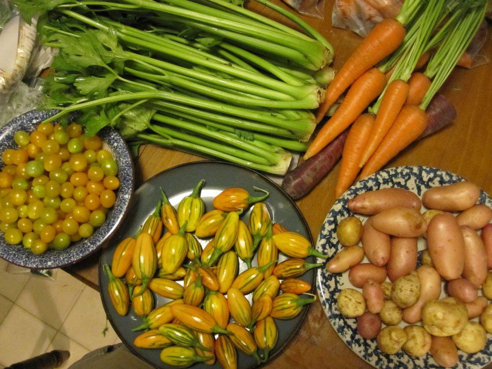 花园的食物