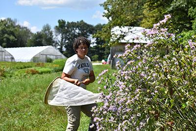 Molly Jacobson, polinator at E S F, standing next to flowers holding a net